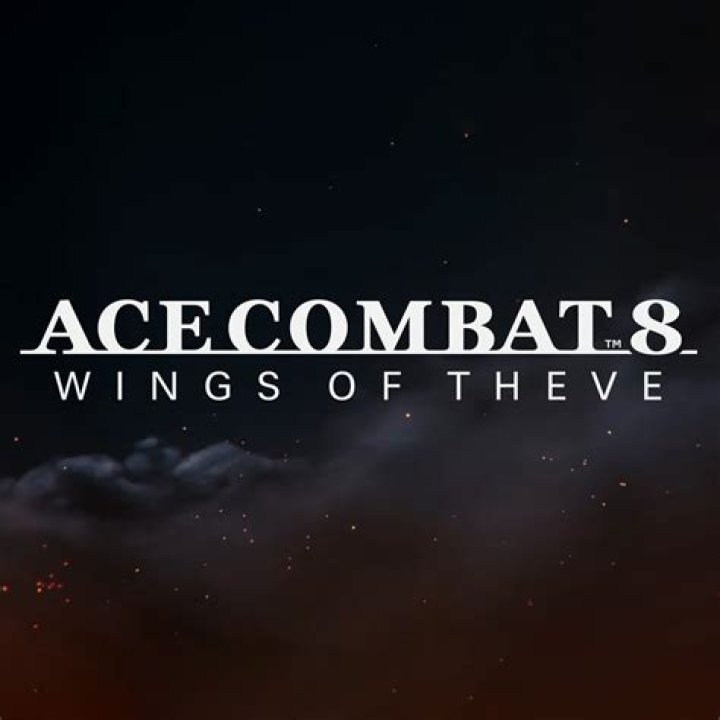 Ace Of Wings: A Comprehensive Review Of The Unique Experience