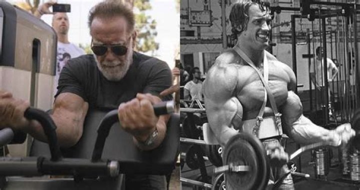 Arnold Schwarzenegger’s Unexpected Connection To The Sound Of Music