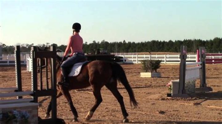 Aubrey Hill Equestrian: A Journey Through Passion And Excellence