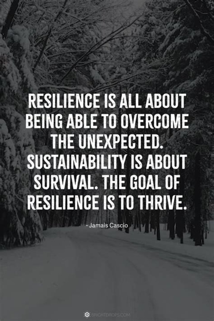 Brea Bowlin: A Journey Through Passion And Resilience