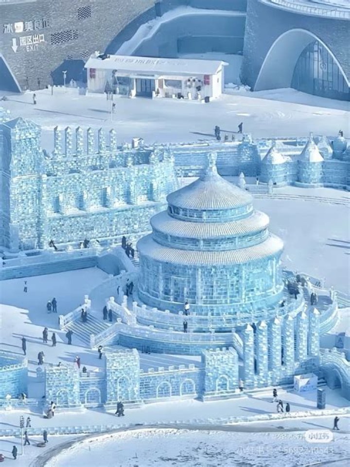 Discover The Refreshing World Of Ice Noodles
