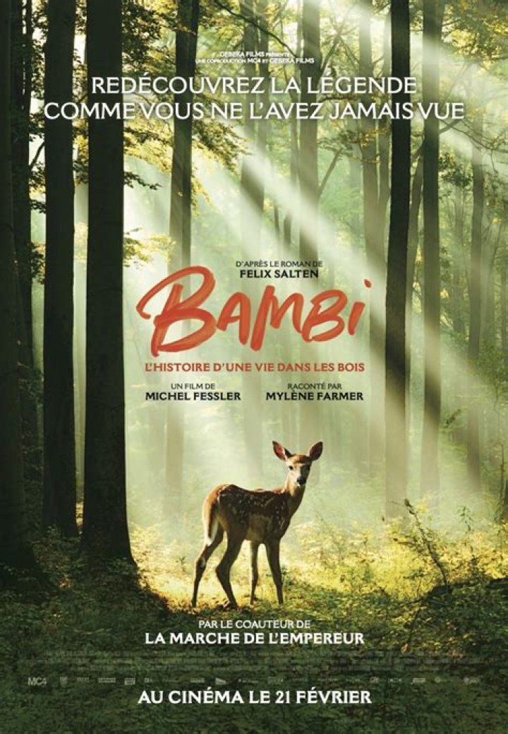 Discovering Ambi Bambii: The Enigmatic Star Of The Digital Age