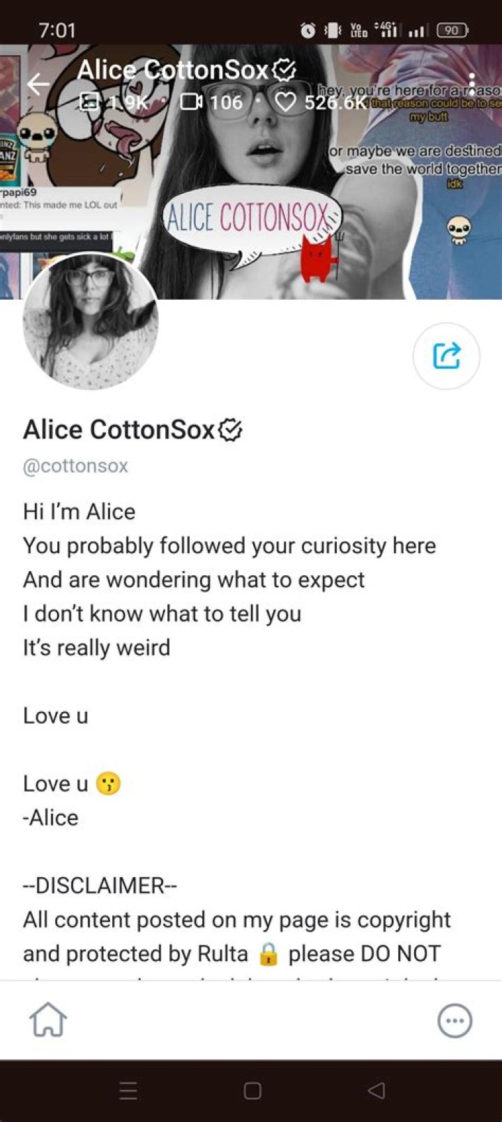 Discovering The Charm Of Alice Cotton Sox