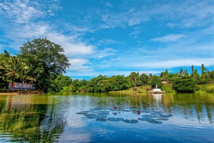 Discovering The Charm Of Christine's Shack