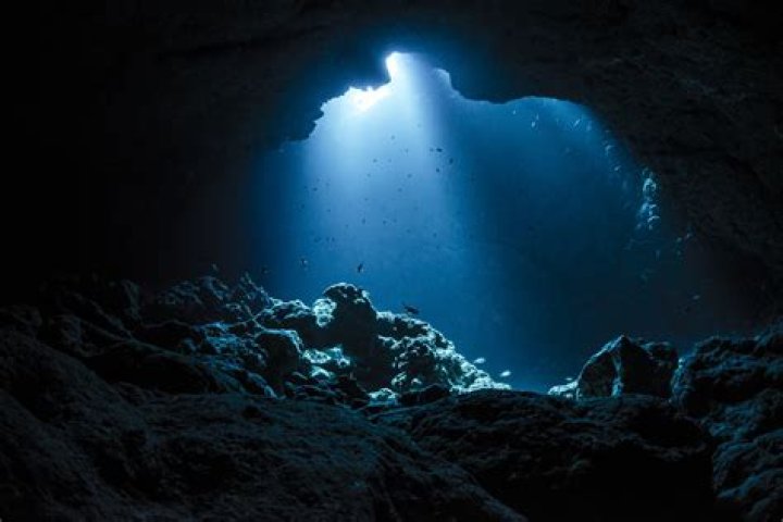 Discovering The Depths Of "Argentina Me Custa"