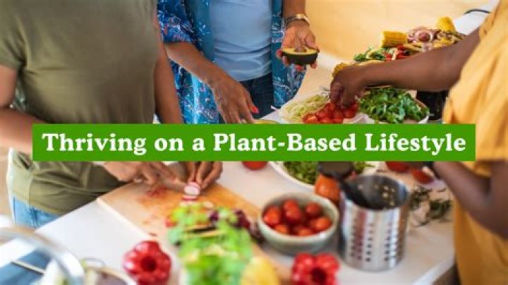 Discovering The Essence Of PlantYou: A Journey Into Plant-Based Living