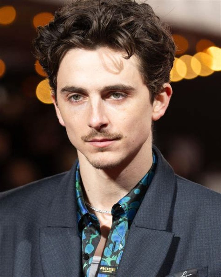 Discovering Timothée Chalamet Younger: The Rise Of A Talented Star