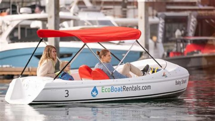Experience Adventure On Water: Rent A Pedal Boat Wheel Of Fortune