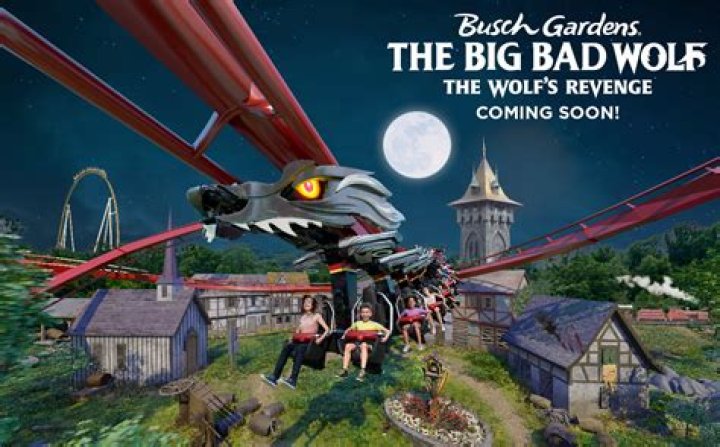 Exploring Fat Friendly Rides At Busch Gardens Williamsburg