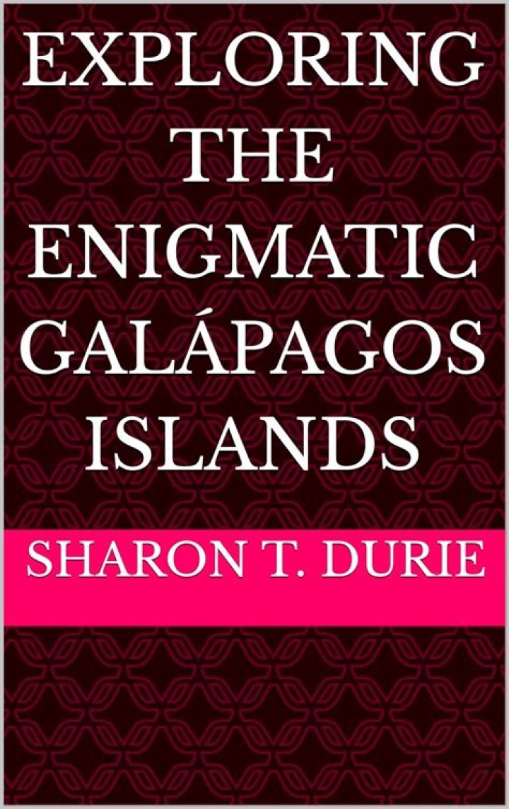 Exploring The Enigmatic World Of Jo In