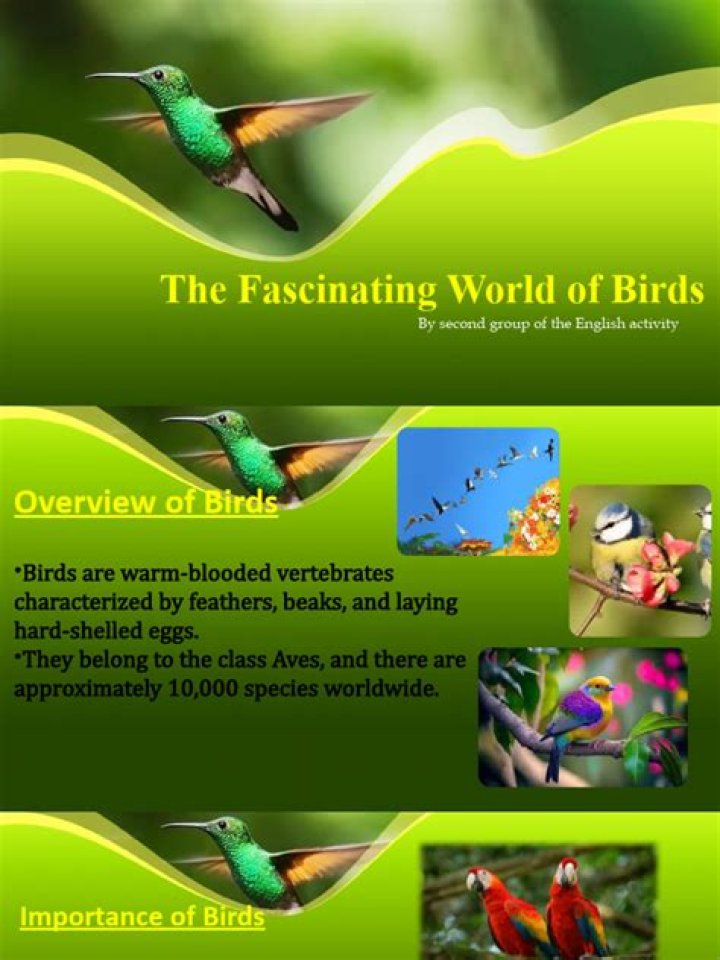 Exploring The Fascinating World Of E-L-G-S-E-S