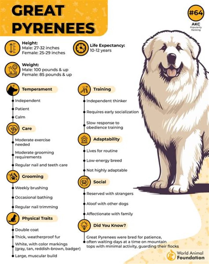 Exploring The Great Pyrenees PSI: A Comprehensive Guide