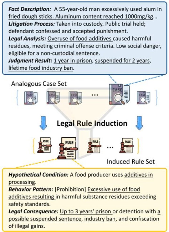 Exploring The Intricacies Of Judge Surgery: A Comprehensive Overview