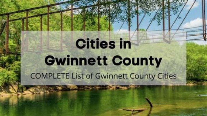 Exploring The Life And Impact Of Domiquo Riley In Gwinnett County
