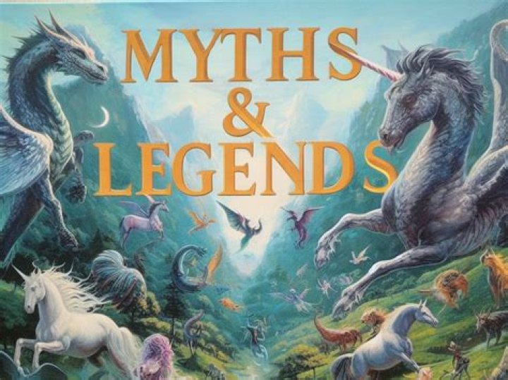 Exploring The Myth And Reality Of The Big Stiffy