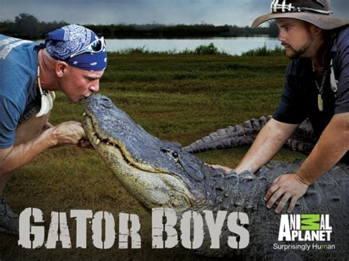 Exploring The Wild World Of Gator Boys 2024