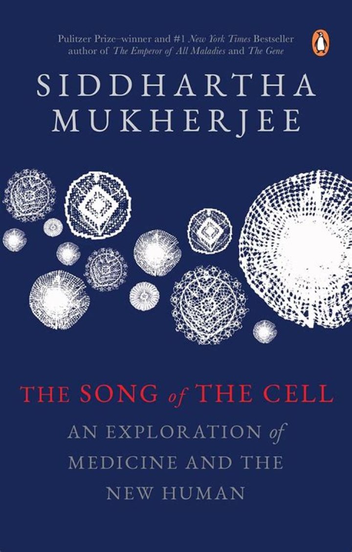 Finding Your "Place In The Sun": An Exploration Of The Classic Song