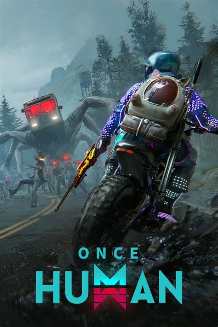 Sane I Was Sane Once: A Journey Through The Mind