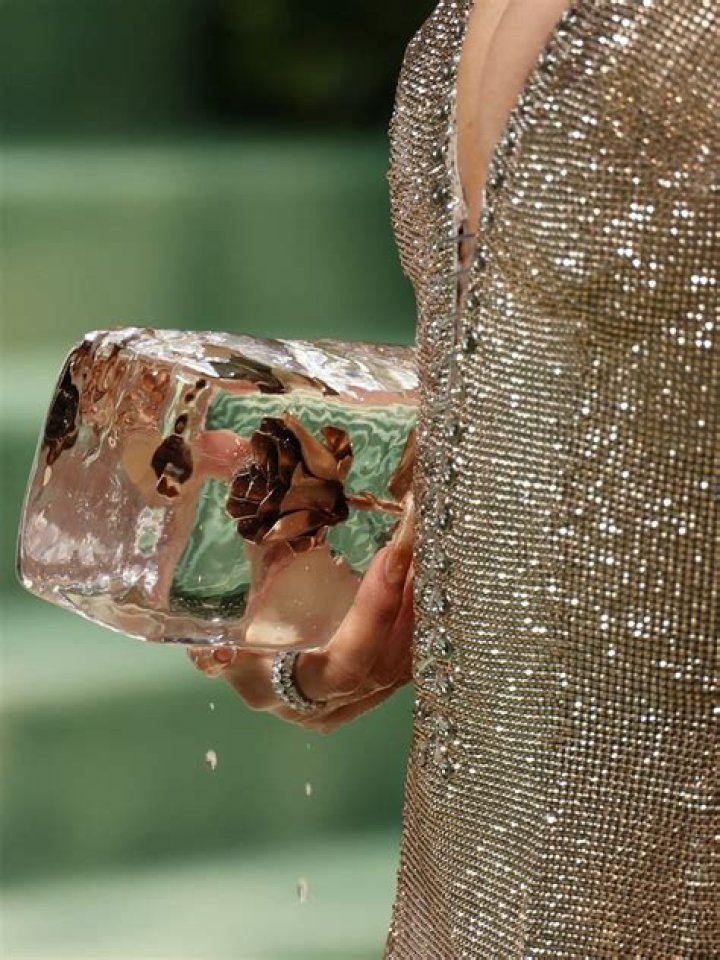The Ice Purse Met Gala: A Dazzling Blend Of Fashion And Innovation