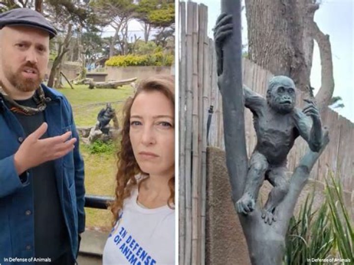 Tragic News: The Untimely Passing Of Gorilla Glue Girl