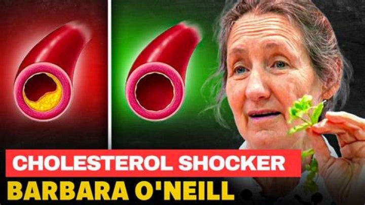 Understanding Barbara O'Neill And Cholesterol: A Holistic Approach