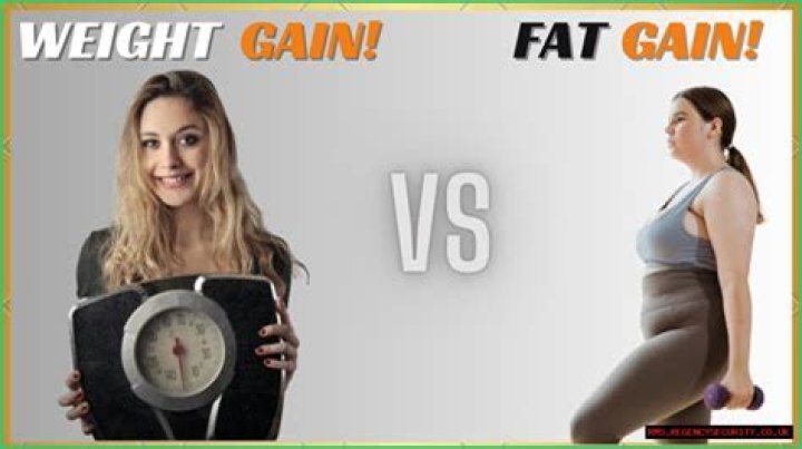 Understanding BBW Weight Gain Fat: Embracing Curves And Confidence