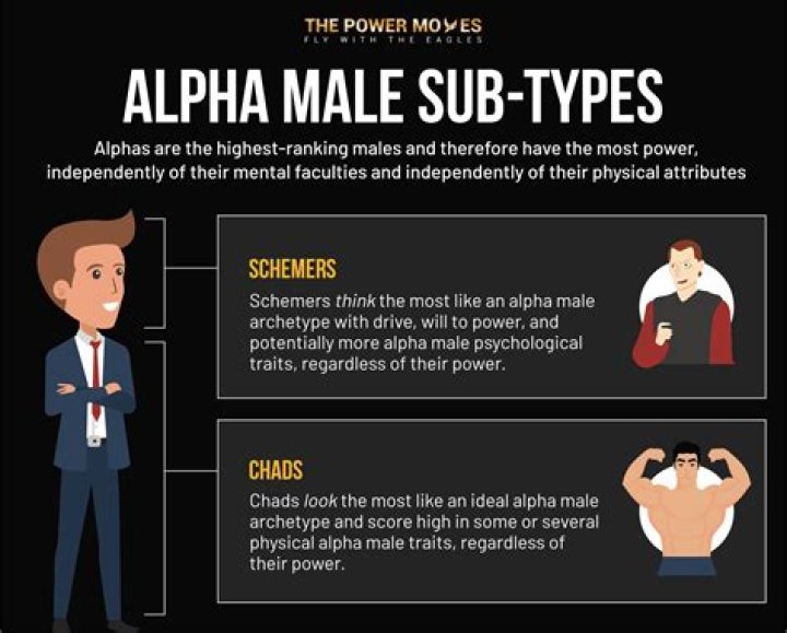 Understanding The Cult Of Alpha Male Worship