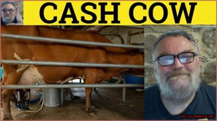 Understanding The Dynamics Of Liquid Gold Vs Cash Cow