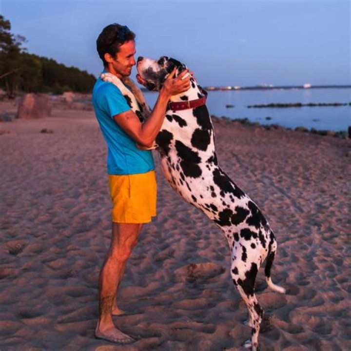 Unforgettable Moments: The Joy Of A Big Dog Kiss