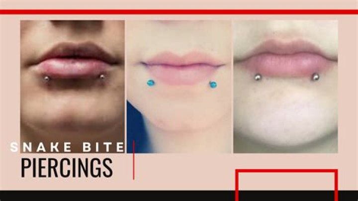 Unleashing The Edge: The Allure Of Snake Bite Piercings For Men