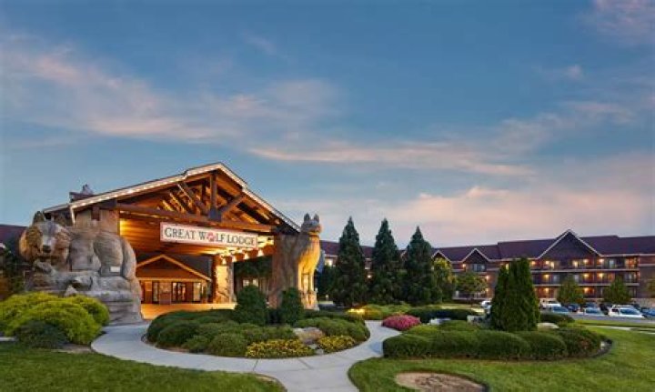 Unlocking The Magic: The Great Wolf Lodge Gold Wristband