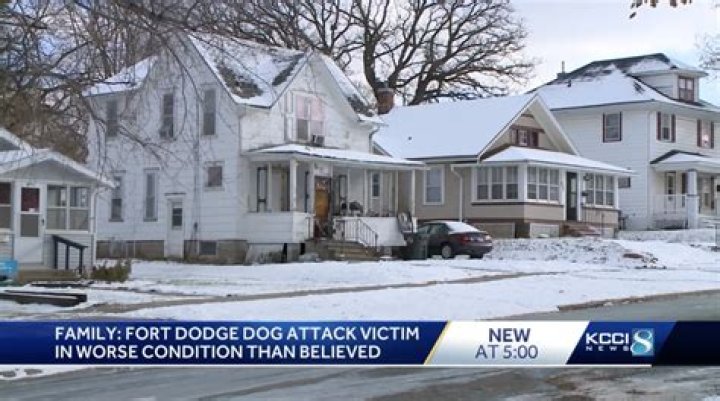 Unraveling The Brittany Skoland Dog Attack: An Uncensored Perspective