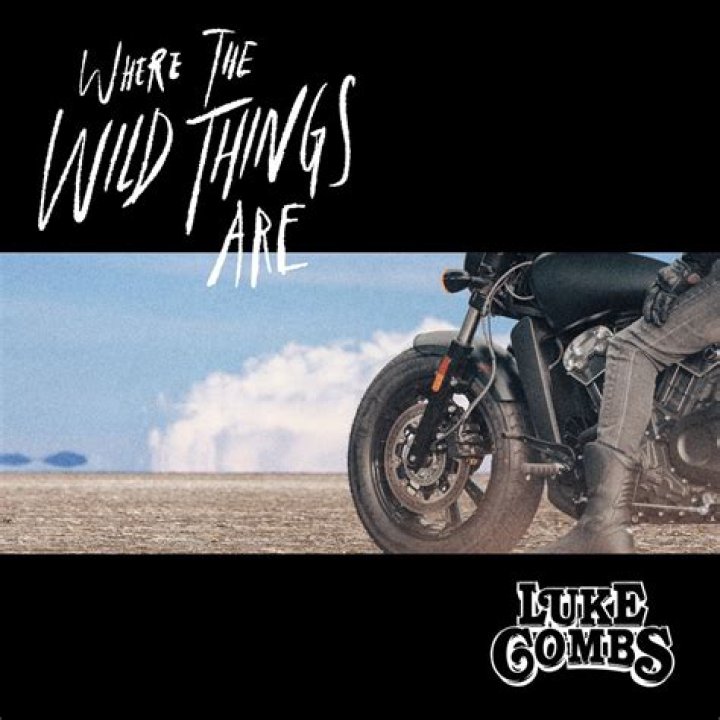 Unraveling The Essence Of "Where Wild Things Are" By Luke Combs