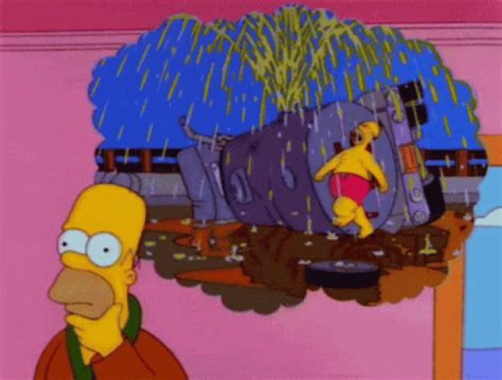 Unraveling The Joy Of Homer Dancing