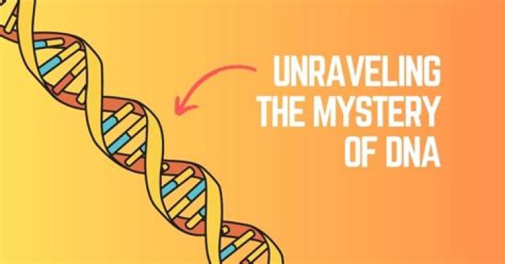 Unraveling The Mystery Of Hele On Meaning