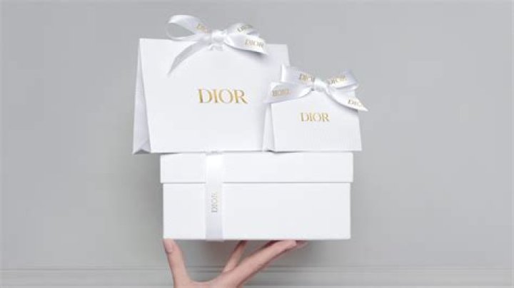 Unveiling The Allure Of The Dior Free Phone Charm