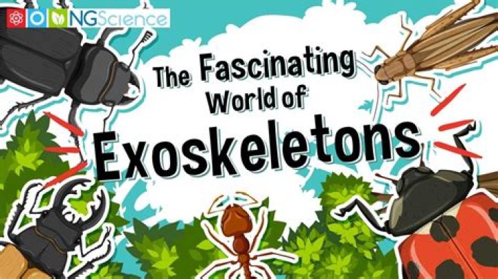 Unveiling The Fascinating World Of Avahillxox