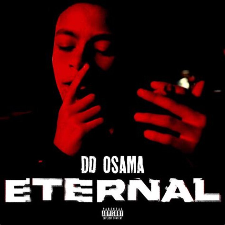 Unveiling The Legacy Of DD Osama: Eternal Influence In Music