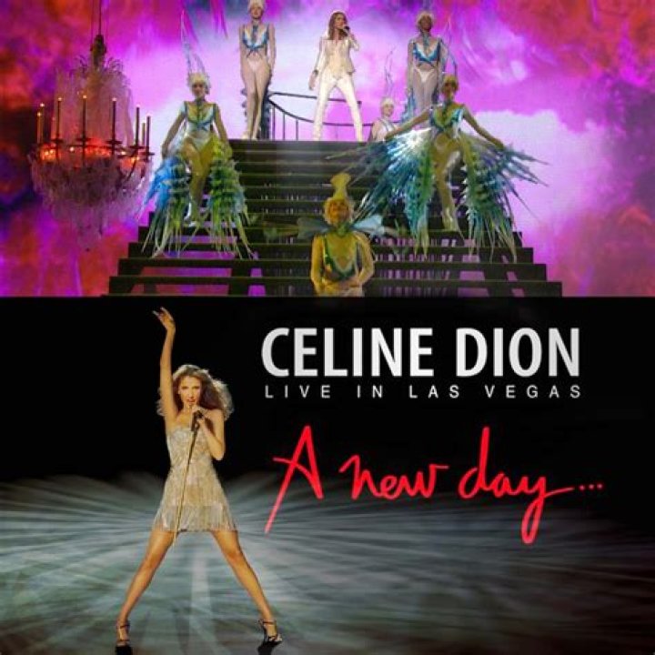 Unveiling The Moments: The Day Celine Dion Met Her Fans