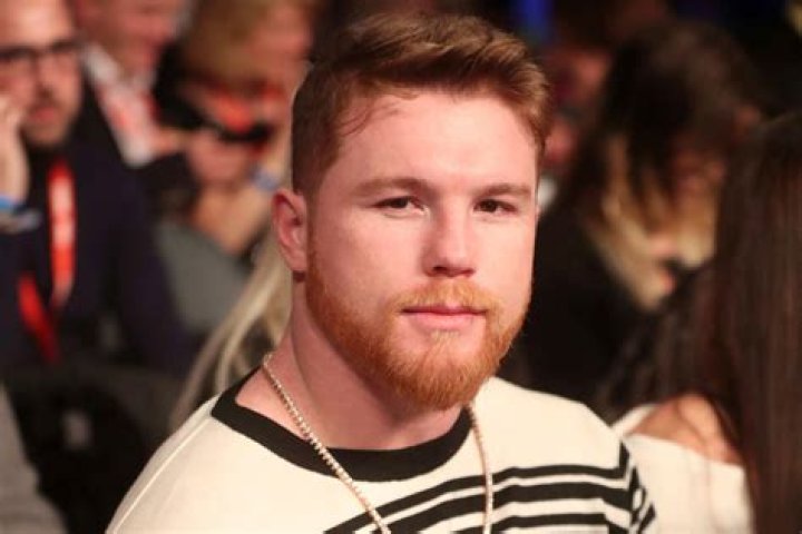 Unveiling The Truth: The Brad Tootle Testimony
