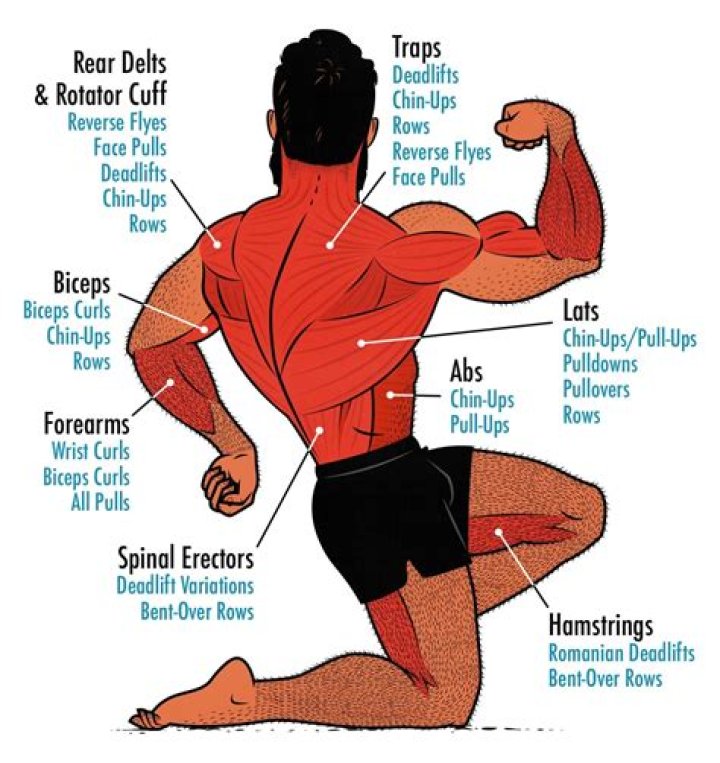 When Muscles Fail: The Unexpected Truth Behind "Sorry About Your Boyfriend, All Those Muscles Didn't Help Much"