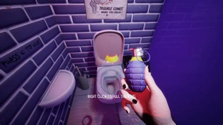 When Toilets Go Wild: The Chronicles Of The Stupidly Toilet