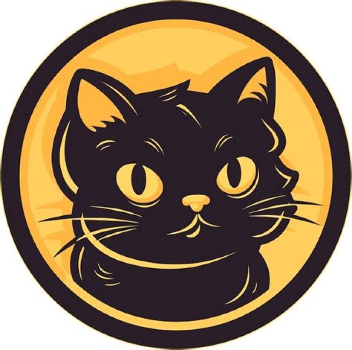 Whiskers Of Mystery: The Enigmatic Human Faced Cat